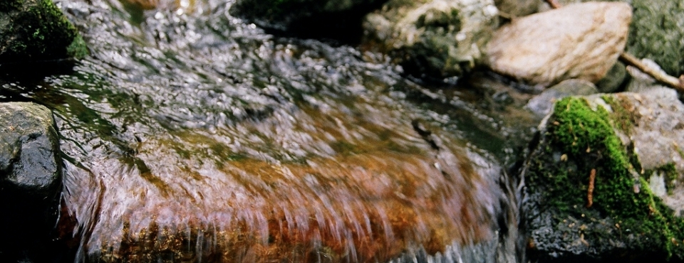 Abogados e Ingenieros expertos en Agua y Medio Ambiente